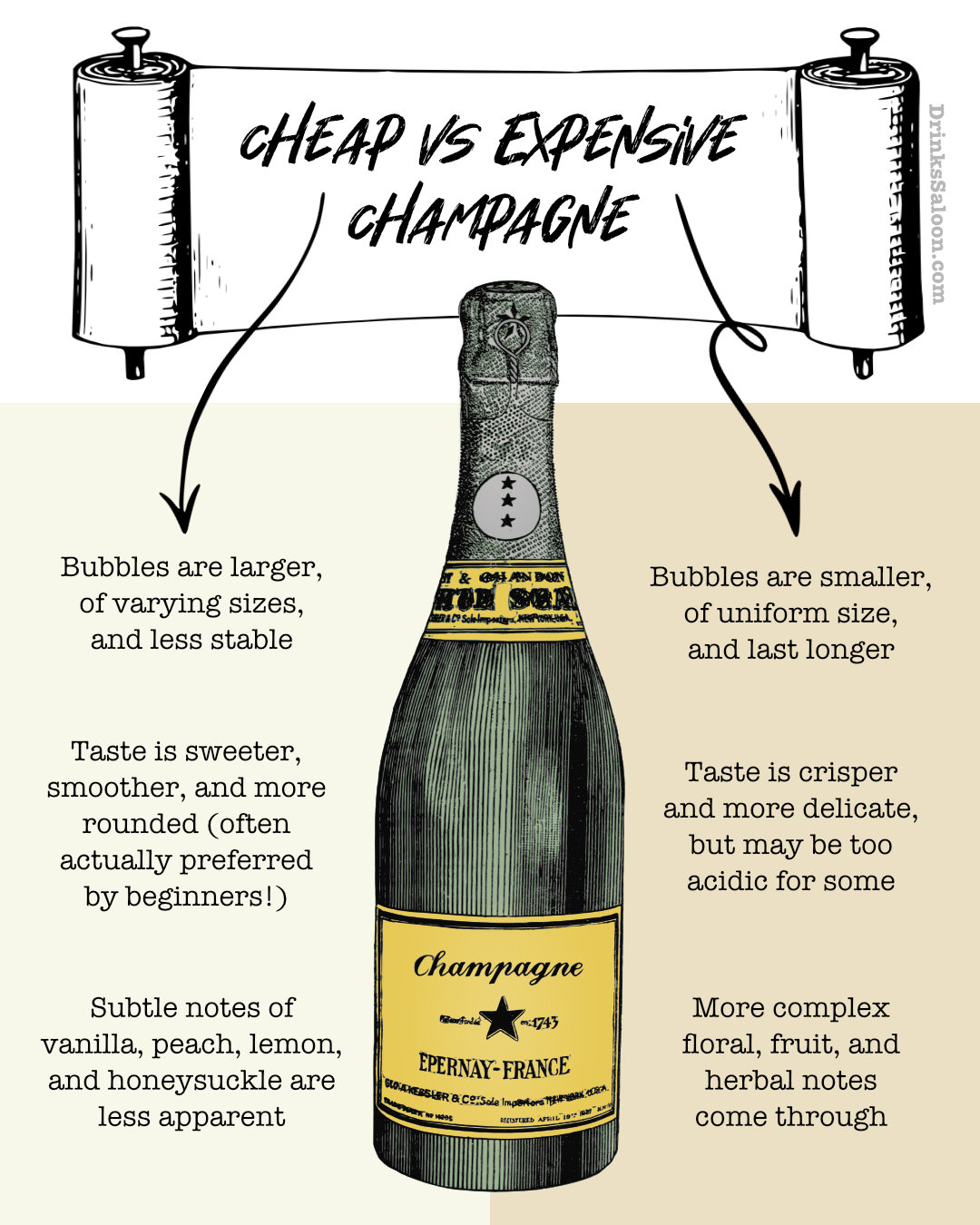 Cheap vs Expensive Champagne comparison